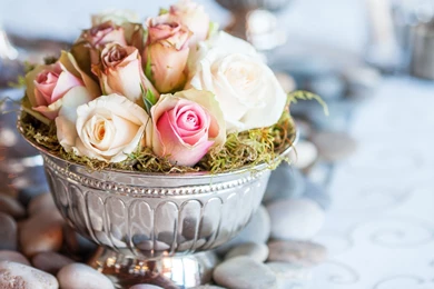 Landscape Wallpapers, Hd Desktop Images, Large Wallpapers, Green ...