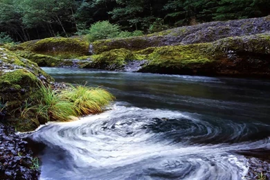 Dreamscene.org   Gallery/Download   Free Dreamscenes, Video Loops ...