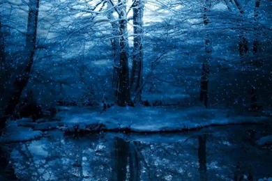 Dreamscene.org   Gallery/Download   Free Dreamscenes, Video Loops ...