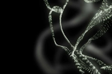 Dreamscene.org   Gallery/Download   Free Dreamscenes, Video Loops ...