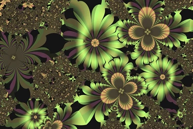3d Wallpapers: Hd Flowers Wallpapers Free Download