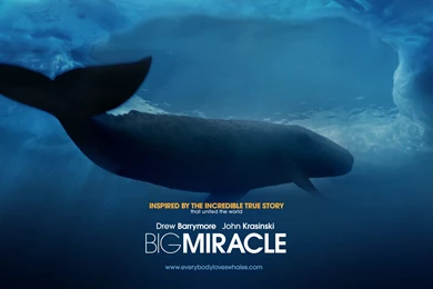 Big Miracle Movie Wallpapers