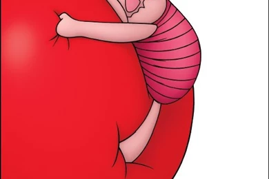 Piglet Picture, Piglet Wallpapers