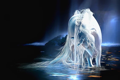 White Horse HD Photos