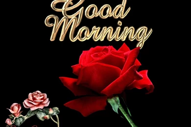 Download good morning wallpaper for facebook 735.jpg
