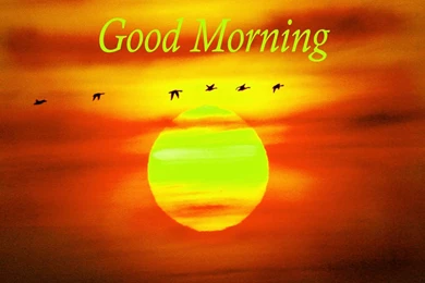 Good Morning Wallpapers HD   Backgrounds Free Images