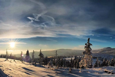 Good Evening High Quality Free Download Hd Wallpapers