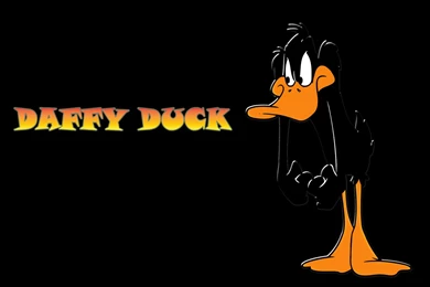 Daffy Duck Computer Wallpapers, Desktop Backgrounds