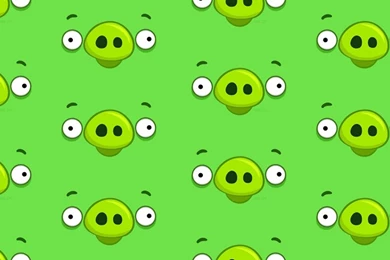 Angry Birds Pig Ask.fm Backgrounds