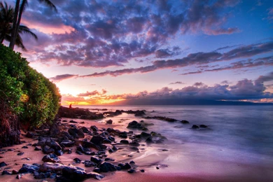 Hawaii The Life Is Beautiful   (