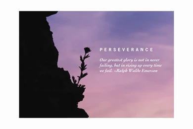 Perseverance
