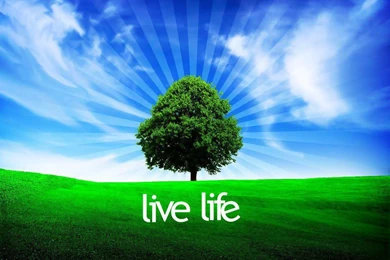 Perseverance Quotes To Keep You Moving! Success Is The Goal ...