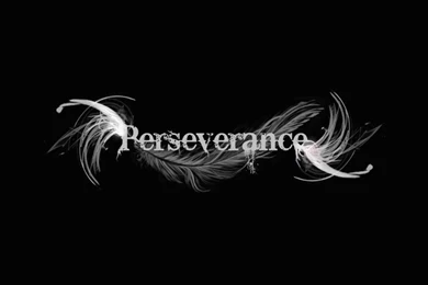Quotes From The Word Perseverance. QuotesGram