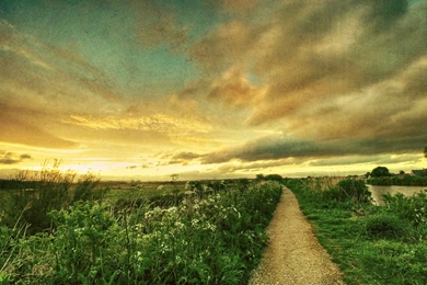 Some Days: Accepting What Isn't Aids In Perseverance