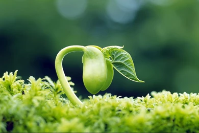 1366x768 Hd Wallpapers Nature Free DownloadHD Wallpaperss New