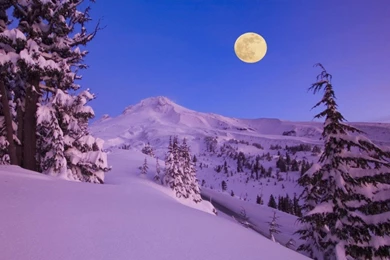 Wallpapers catalogue.com   Romantic Desktop Wallpapers   Moon Over ...