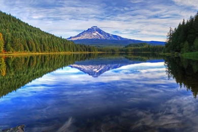 Mt.Hood Over Trillium Lake In The Fall In Oregon