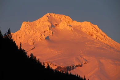 MT HOOD AT SUNSET WALLPAPER   (