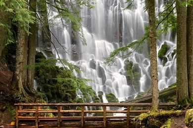 Nature wallpaper ramona falls mount hood wilderness oregon ...