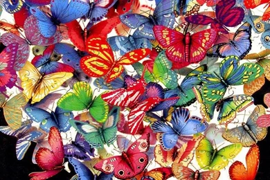 Butterfly Wallpapers   Android Apps & Games On Brothersoft.com