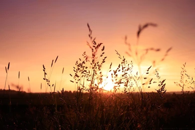 Setting Sun Wallpapers By Geckokid On DeviantArt