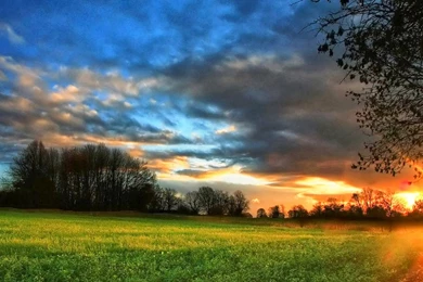 Free Full HD Wallpapers