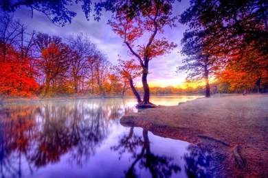 Free Full HD Wallpapers