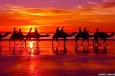 Romantic Sunset Wallpapers   Crazy Frankenstein