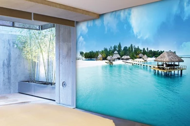 Wallpapers Butterfly Picture   More Detailed Picture About Large 3 ...