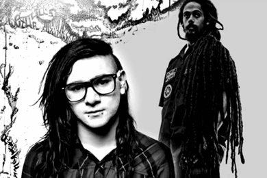 Skrillex & Damian Marley   MAKE IT BUN DEM (1080p HD)   YouTube