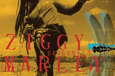 Racing Game Discussion   AVS Forum