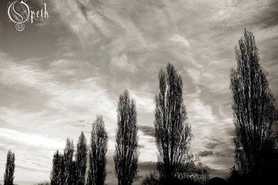 One Of My Favorite Opeth Wallpapers : Metalwallpapers