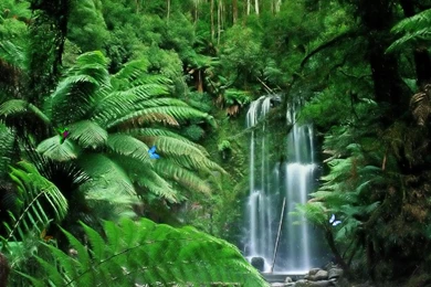 Real Tropical Waterfalls   Wallpaper.