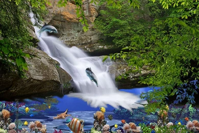 Tropical Waterfalls High Resolution Wallpapers