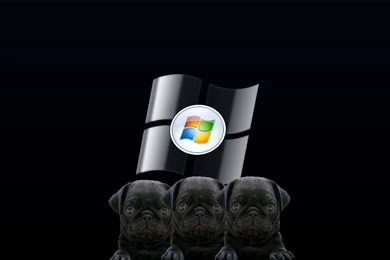 Windows Black Dog Wallpapers By Kubines On DeviantArt