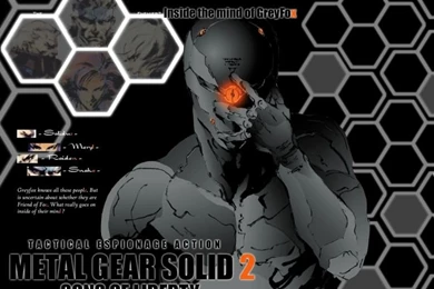 Wallpapers Metal Gear Solid 2   Sons Of Liberty (category ...