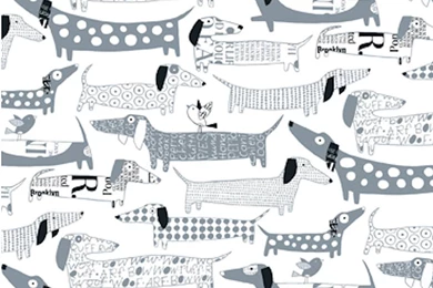 Wiener Dogs Wallpapers By Wall library
