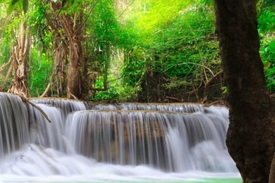 Green Tropical Waterfall Wallpapers