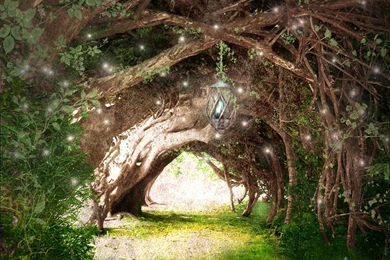 Enchanted Forest Backgrounds   Wallpapers Cave