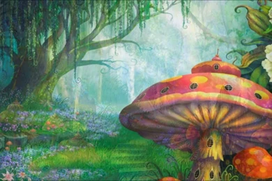 The Enchanted Forest   YouTube