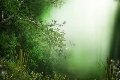 Compare Prices On Fairy Forest  Online Shopping/Buy Low Price ...