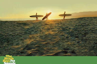 The Beach Boys   The Beach Boys Wallpapers (9931862)   Fanpop