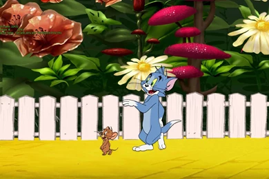 Tom And Jerry Cartoons Wallpapers.