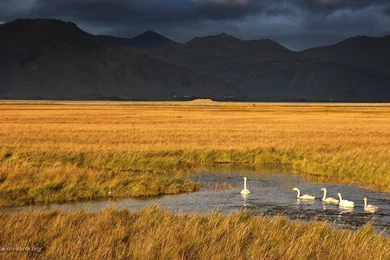Landscape, Wallpaper, Sizes, Peace, Earth, Sharing, Iceland ...
