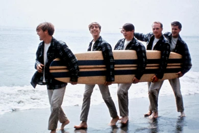 The Beach Boys Pictures   All Wallpapers New