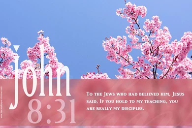Bible Verses Backgrounds   Wallpapers Cave