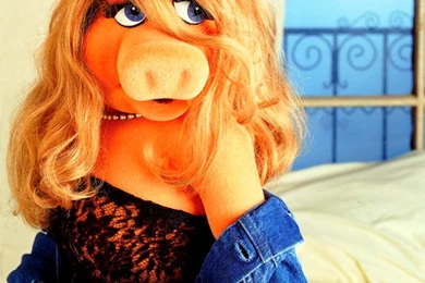 Miss Piggy Wallpapers   Bing Images