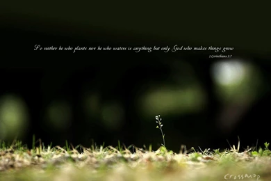 1 Corinthians 3:7   God Makes Things Grow Wallpapers   Christian ...