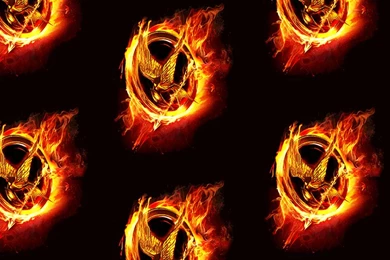 The Hunger Games Catching Fire Ask.fm Backgrounds TV & Movie ...