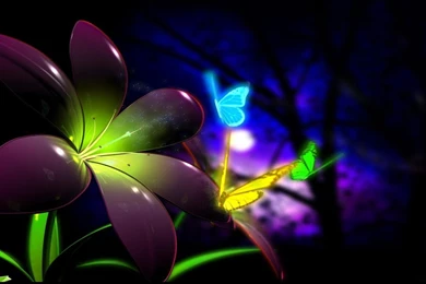 Live Wallpapers 14   Best Wallpapers Collection